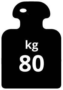 Fachlast 80kg