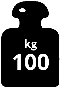 Fachlast 100kg
